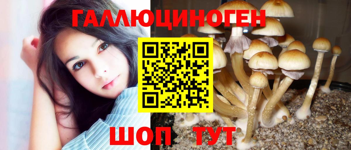 Ногинск  Псилоцибиновые грибы прущие грибы  Вход с VPN 